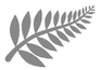 fern